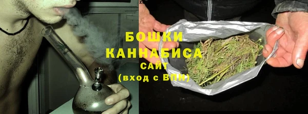 шишки Балабаново