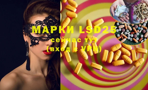 ГАЛЛЮЦИНОГЕННЫЕ ГРИБЫ Баксан