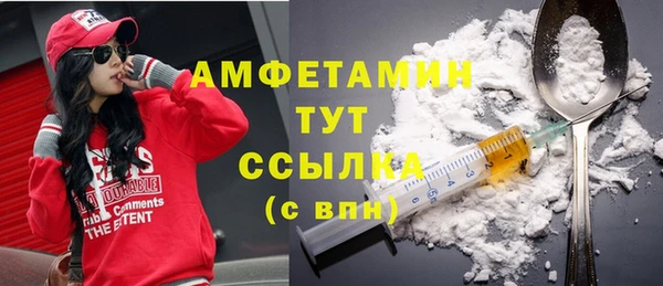 индика Заволжск